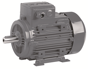 Motor ELK 0,55kW    2800rpm -B3 IE3